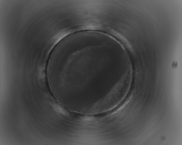 X0000102531170200808081444