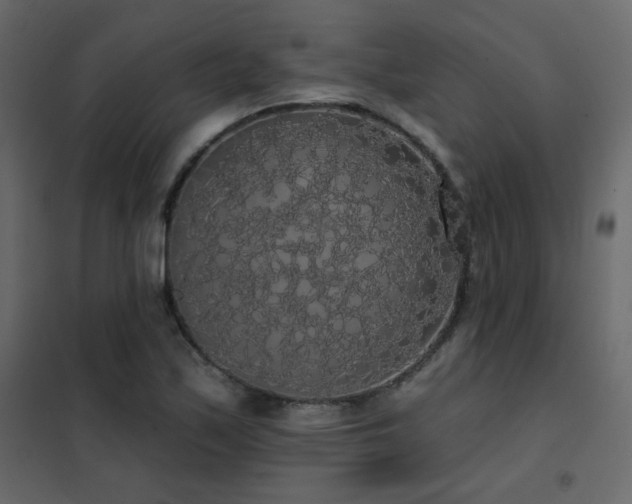X0000102531171200808081444