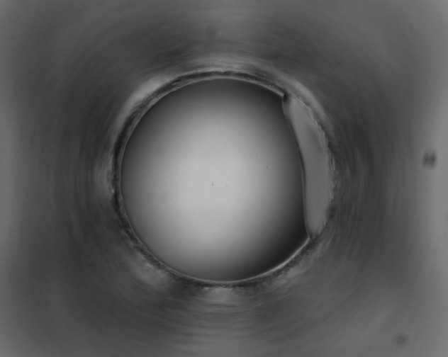 X0000102531172200808081444
