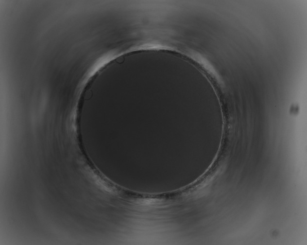 X0000102531173200808081444