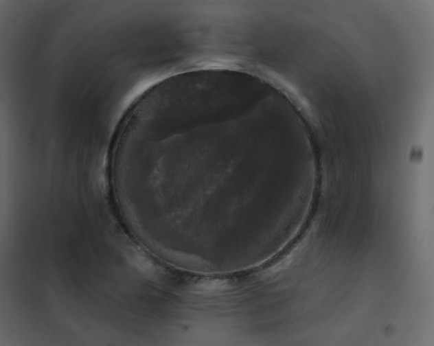 X0000102531174200808081444