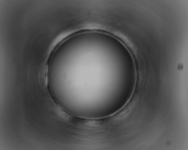 X0000102531175200808081444