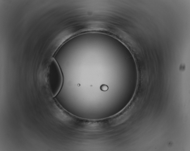 X0000102531177200808081444