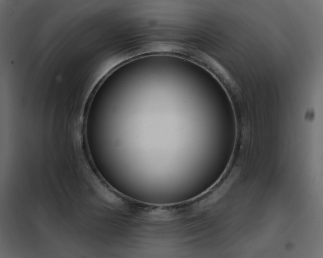 X0000102531178200808081444