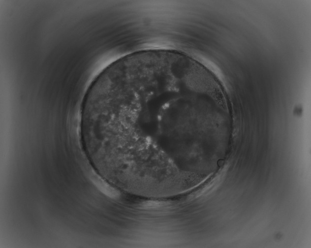 X0000102531179200808081444