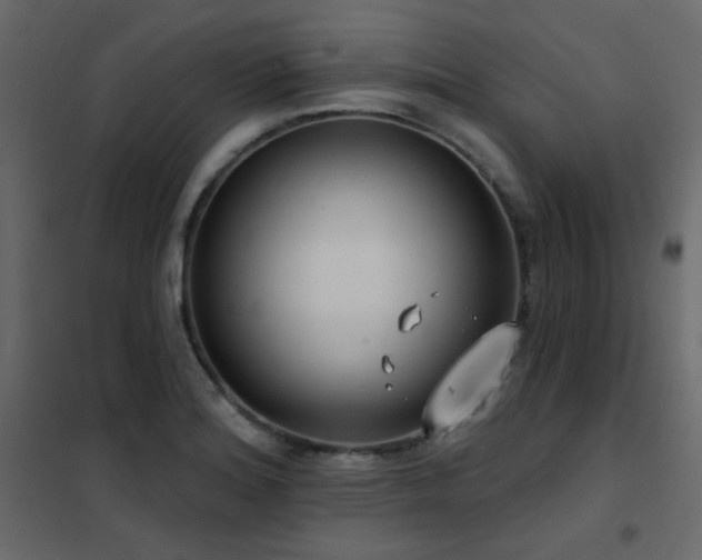 X0000102531180200808081444