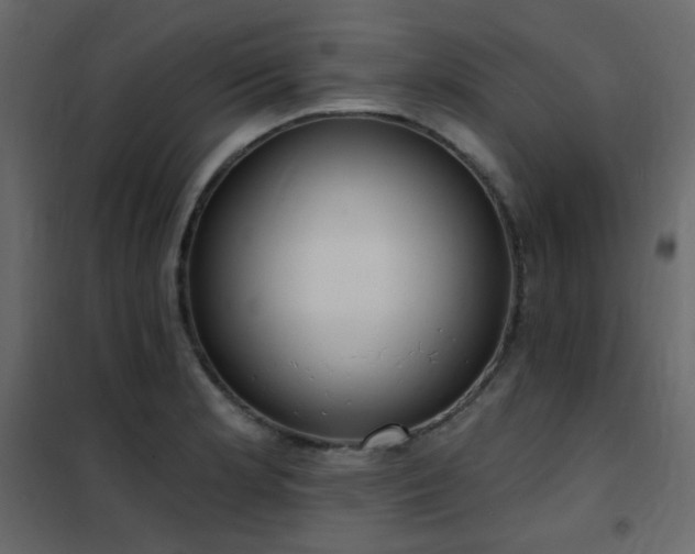 X0000102531181200808081444