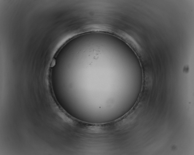 X0000102531182200808081444