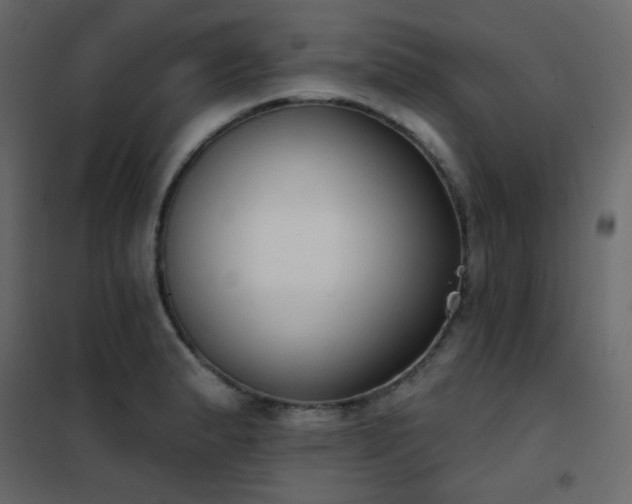 X0000102531183200808081444