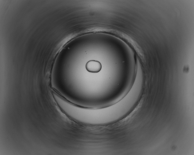 X0000102531185200808081444