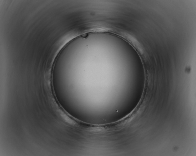 X0000102531186200808081444