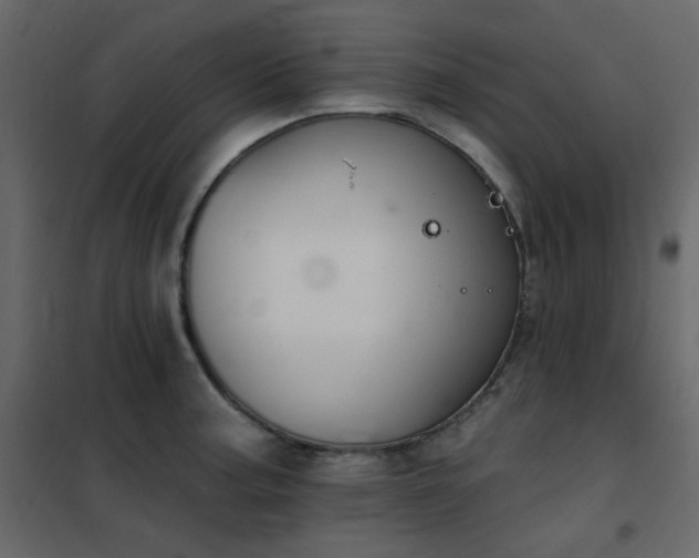 X0000102531187200808081444