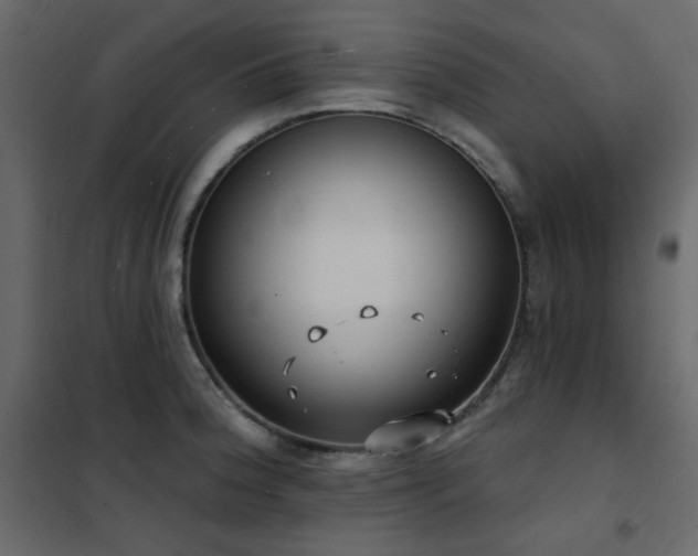 X0000102531188200808081444