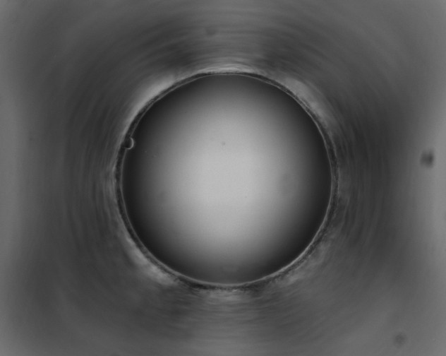 X0000102531189200808081444