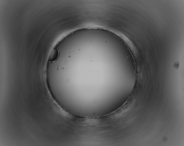 X0000102531191200808081444