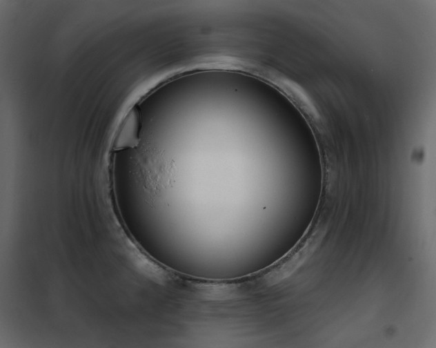 X0000102531192200808081444