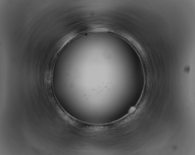 X0000102531193200808081444
