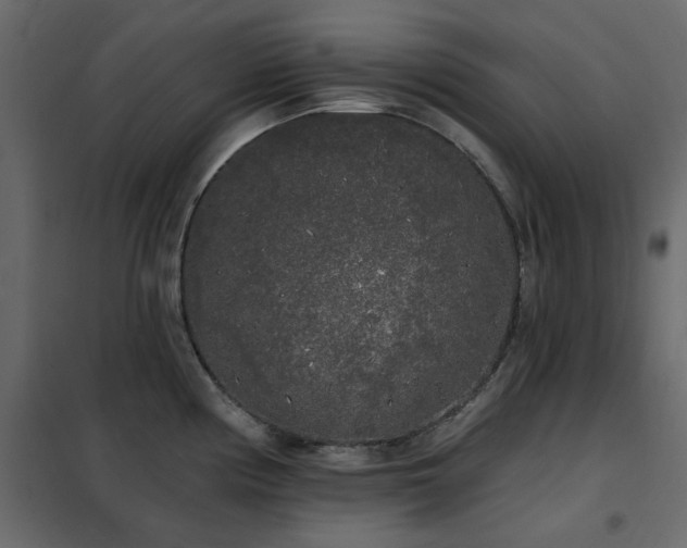 X0000102531194200808081444