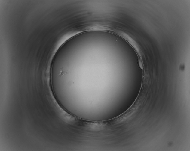 X0000102531195200808081444