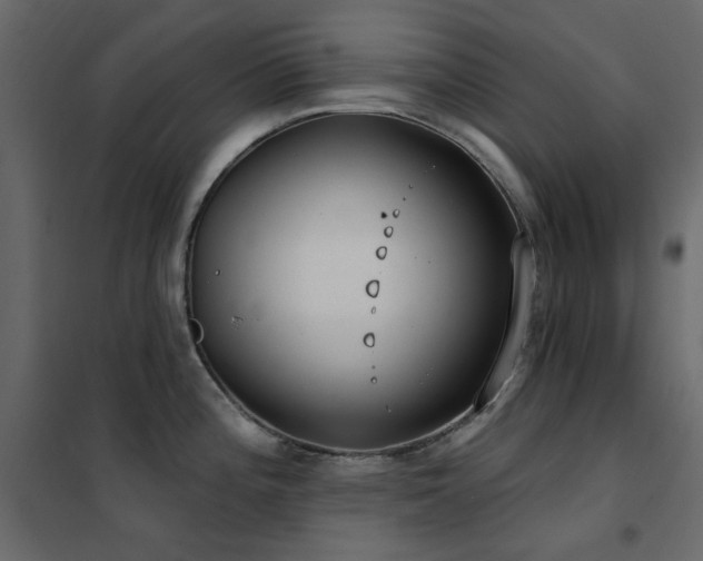 X0000102531196200808081444
