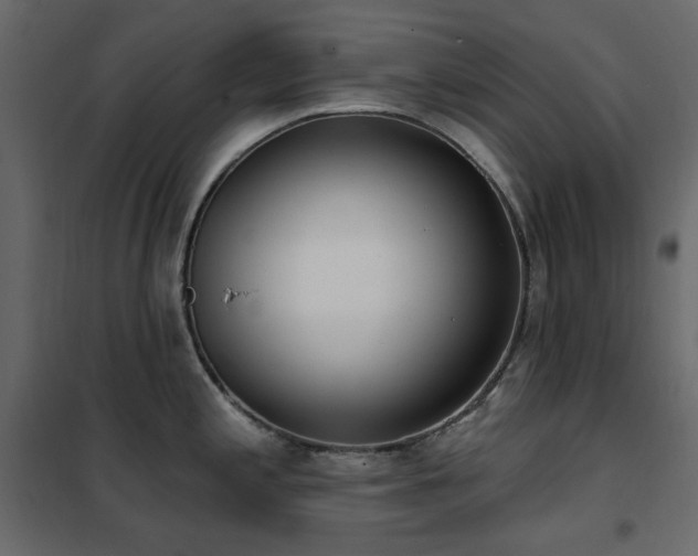 X0000102531197200808081444