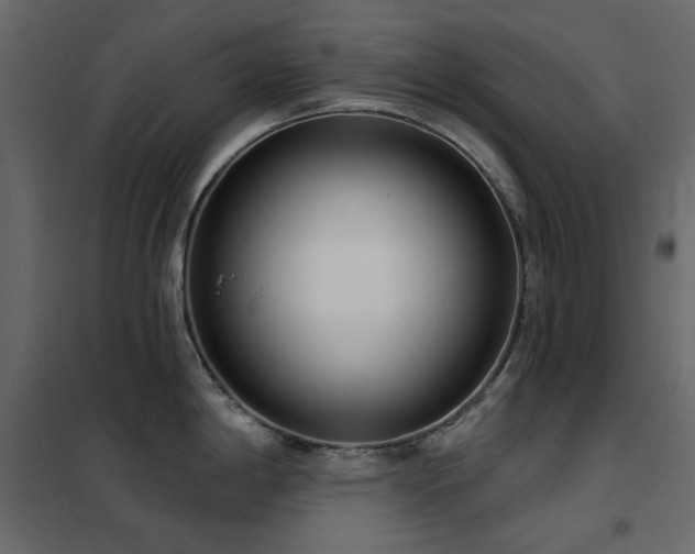 X0000102531198200808081444