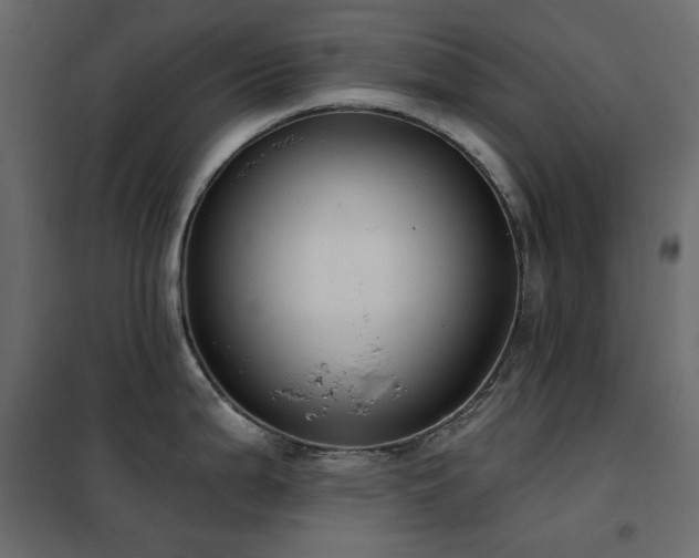 X0000102531199200808081444