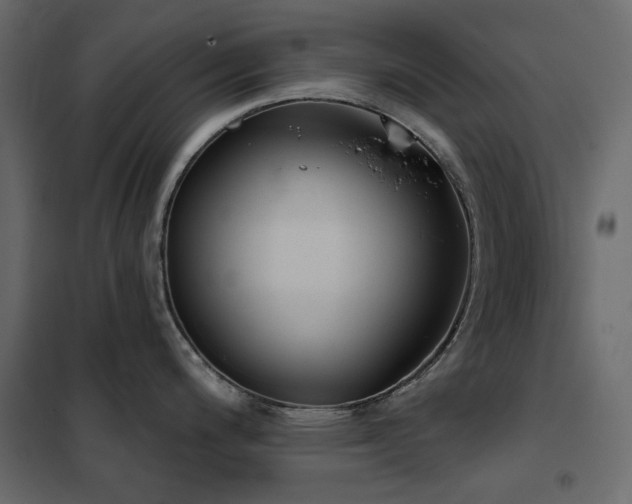X0000102531200200808081444