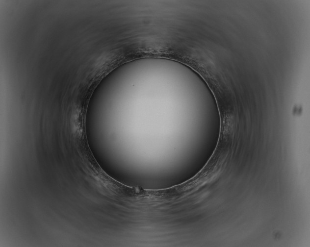 X0000102531202200808081443