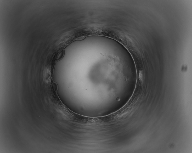 X0000102531203200808081443