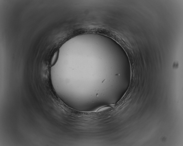 X0000102531204200808081443