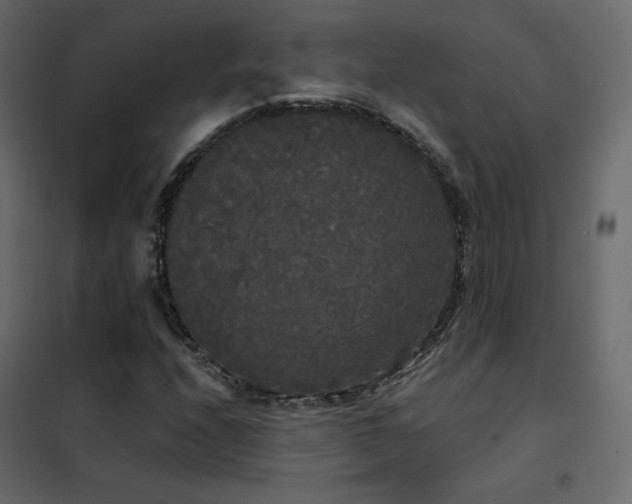 X0000102531208200808081443