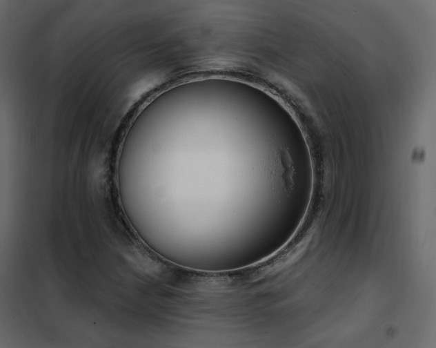 X0000102531210200808081443