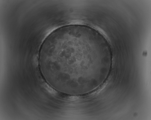 X0000102531212200808081443