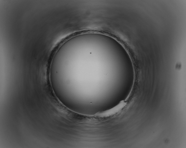 X0000102531214200808081443