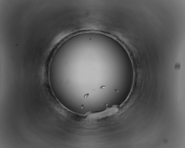 X0000102531215200808081443