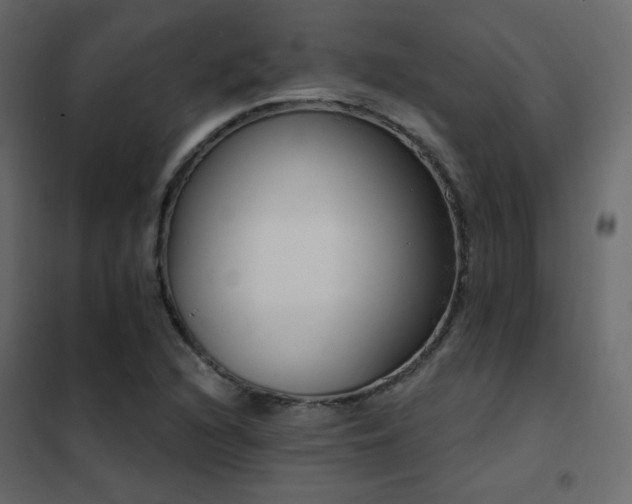 X0000102531216200808081443