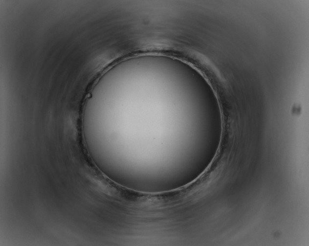X0000102531217200808081443