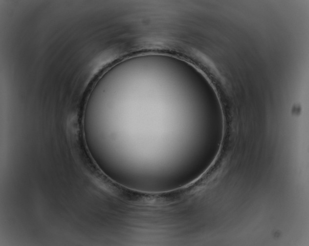 X0000102531218200808081443