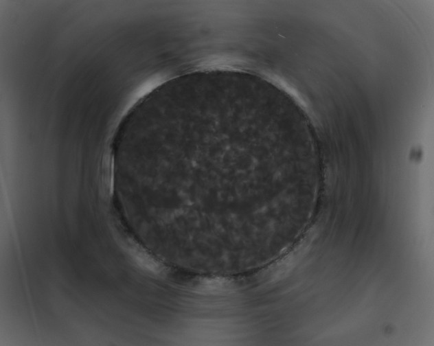 X0000102531219200808081443