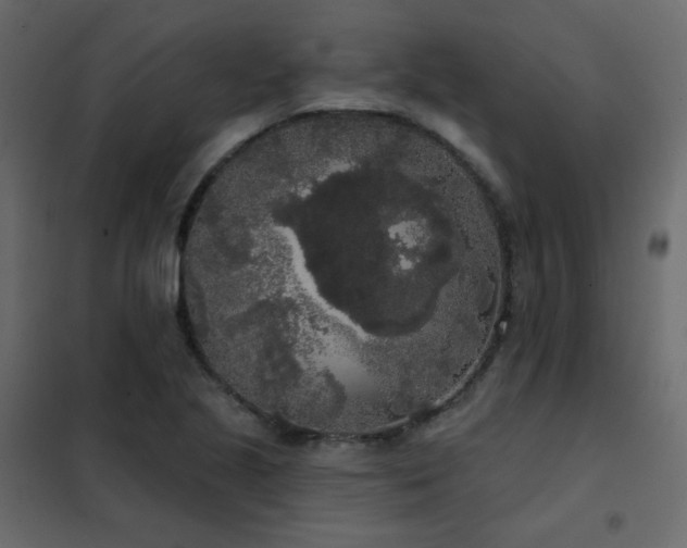 X0000102531221200808081443