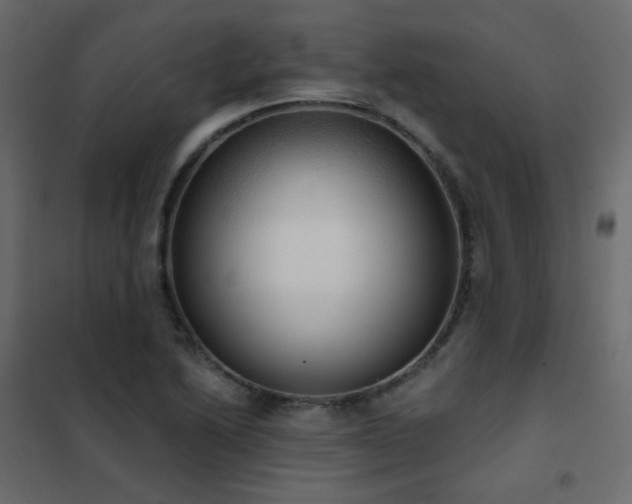 X0000102531222200808081443