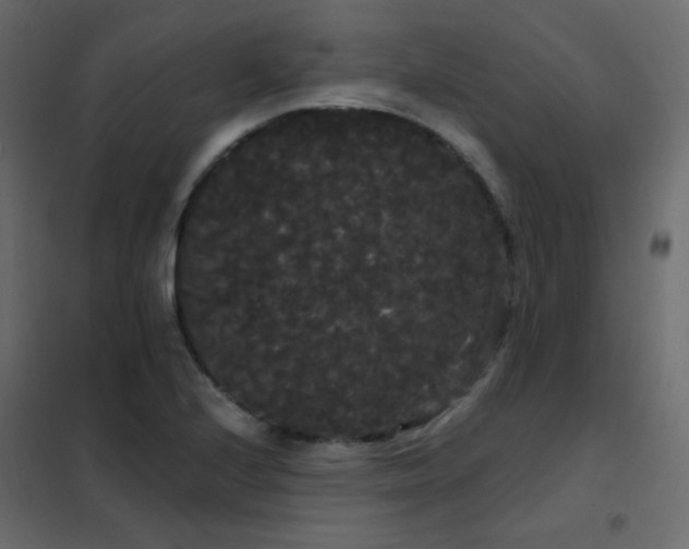 X0000102531224200808081444