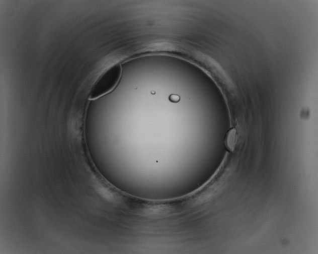 X0000102531225200808081444