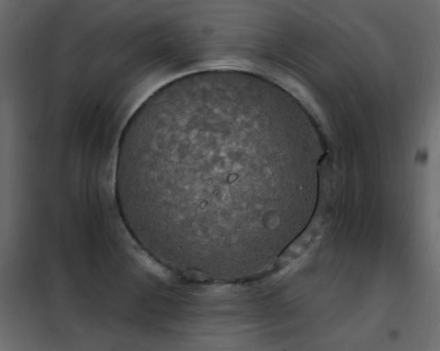 X0000102531228200808081444