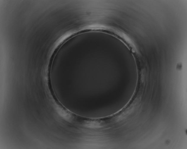 X0000102531229200808081444