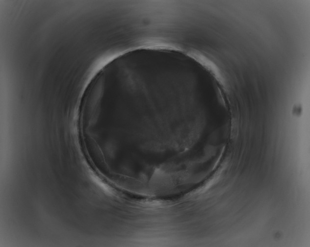 X0000102531231200808081444