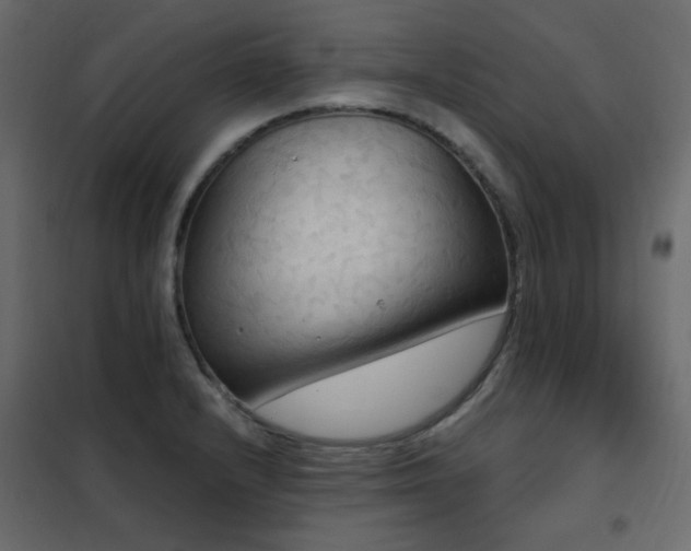 X0000102531232200808081444