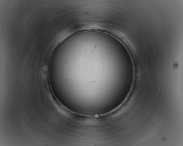 X0000102531233200808081444