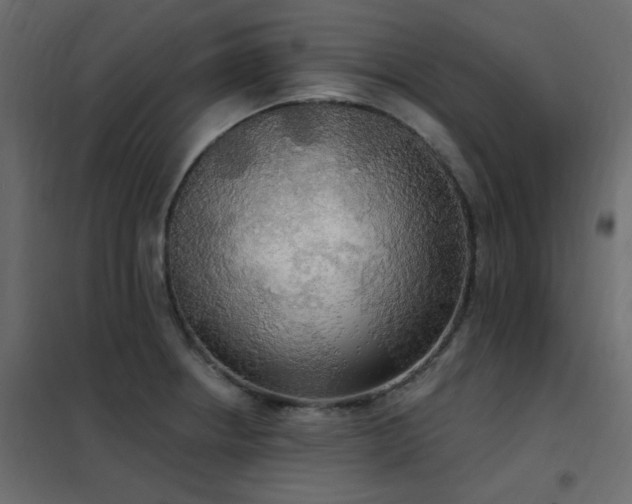 X0000102531234200808081444